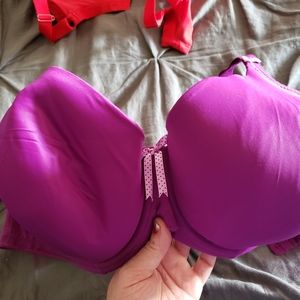 Elmoi Bra - Purple - US Size 36 GG